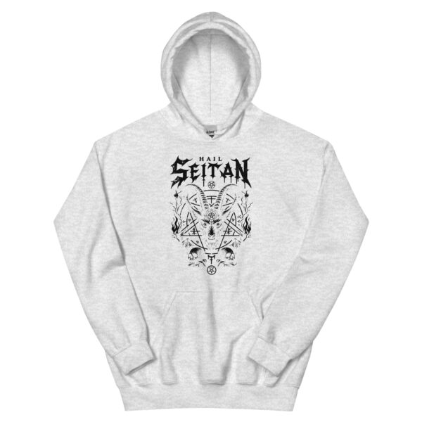 t-shirt: Hail Seitan Hoodie