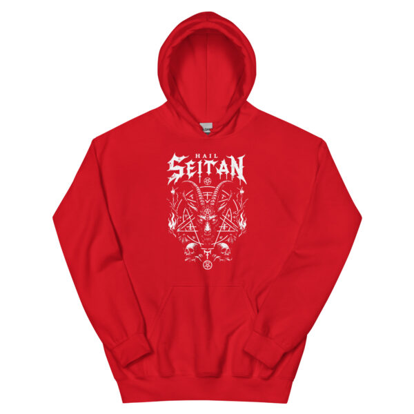 t-shirt: Hail Seitan Hoodie